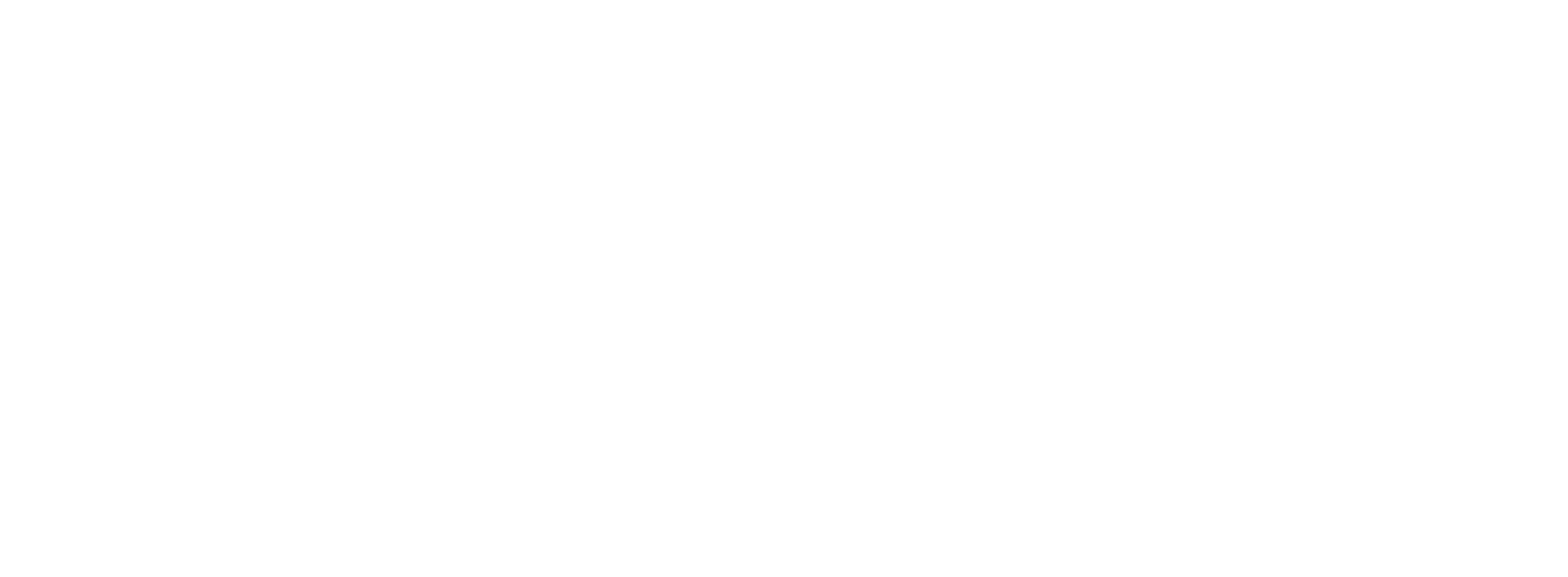 MAFER Agency